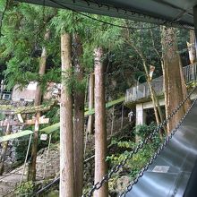 行きのエスカレーター！