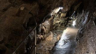 日本三大鍾乳洞！