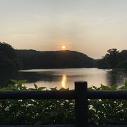 ウォーキングに丁度良い公園