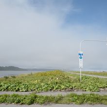こんな場所まで、2車線の立派な道路がある事に驚かされます。