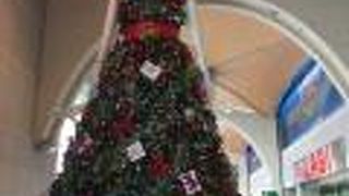 ナナちゃんがキュート