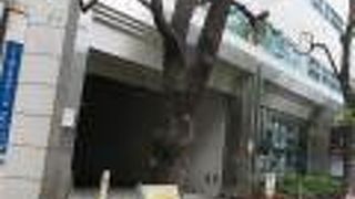 堺筋にあります