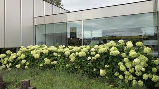 美瑛選果に併設されているミシュラン1星レストラン