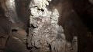 迫力があります