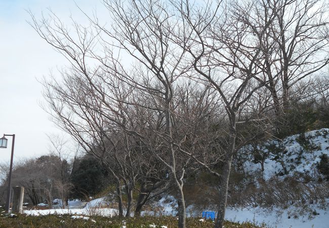 和田山 末寺山古墳群