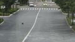 函館の坂をなめてはいけない