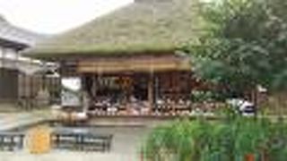 ちりめん雑貨や漬物など大内宿の店では品ぞろえが多くて楽しい店