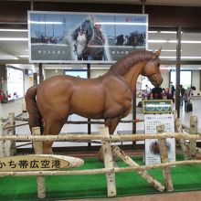 帯広空港（とかち帯広空港）