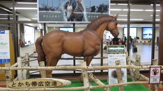 駅から遠い空港