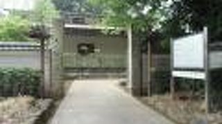 本堂前には幾体もの石仏が並びます