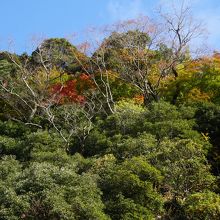 貝石山