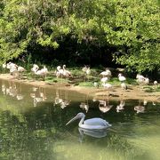 無料とは思えない充実した動物園