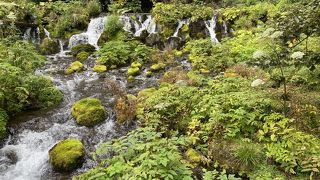 綺麗な湧水