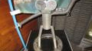 でっかいボルタが居ます