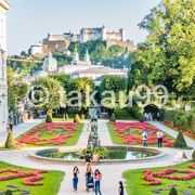 いわゆるフランス式庭園のような幾何学模様を整然と配置した庭園です。