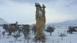 ラクダの形の岩、とりあえず見とかなければ。レッドツアーに含まれていました。