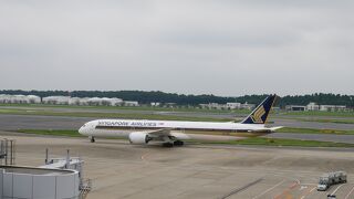 飛行機の離着陸を見学