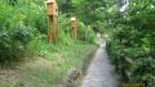 夏でも涼しく感じます