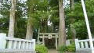 川柳浅間神社