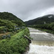 宮城野早川堤