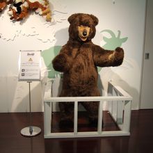 大きいけどちょっと愛らしい熊さん