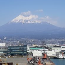 展望台からの景色