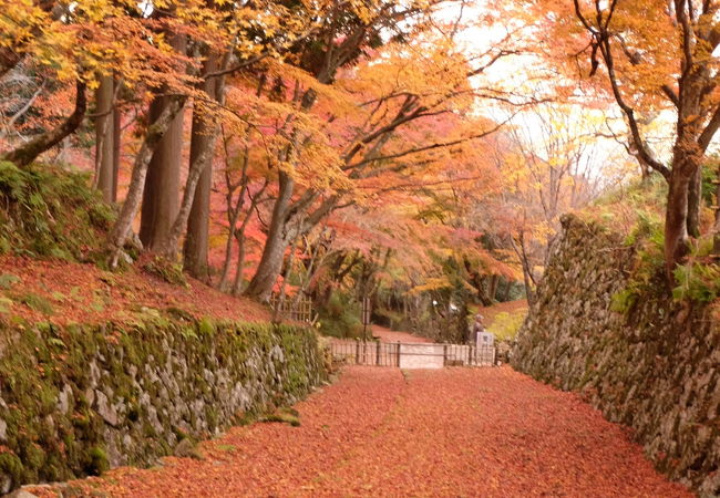 百済寺 クチコミ アクセス 営業時間 湖東三山 多賀 東近江 フォートラベル