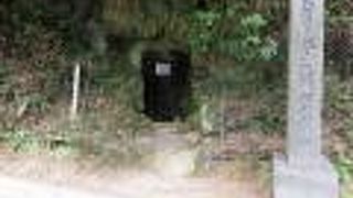 人間の欲望はここまで