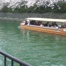疎水の桜と屋形船