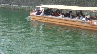 岡崎公園近くの疎水沿いの桜並木