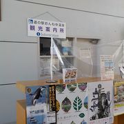 見どころチェック