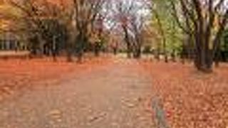 紅葉の美しい広大な公園