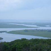 雄大な湿原の風景を楽しむことができました