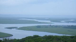 雄大な湿原の風景を楽しむことができました