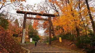 森の中にある荘厳な北海道神宮