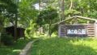 温泉神社に隣接する公園