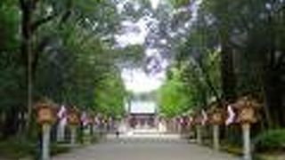 Grand shrine in a quiet atmosphere