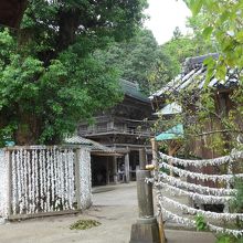 境内の風景