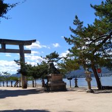 厳島神社に入る鳥居