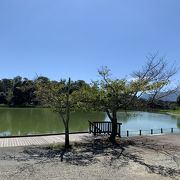 橿原神宮お池
