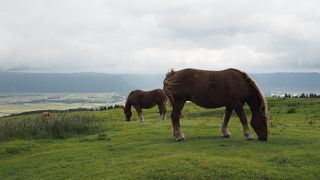 見渡す限りどこも絶景