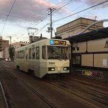 新しい電車が活躍しています。