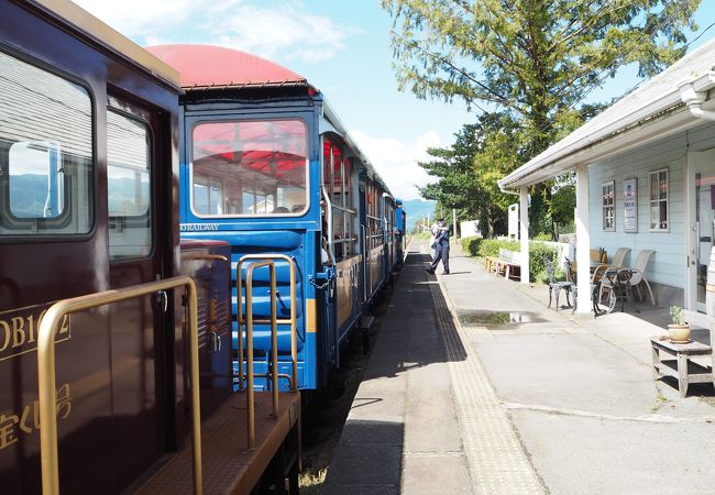 街中を走る姿がたまらん！