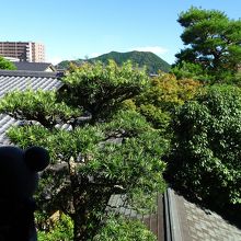 宿泊した姫山の間から見る姫山
