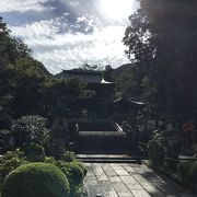 神々しい神社でした。