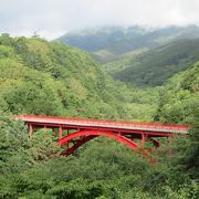 緑の中に浮かぶ赤い橋です