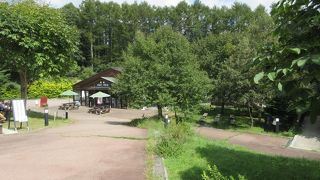 みんながともににこっとがコンセプトの森です