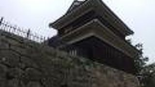 唯一の現存している櫓