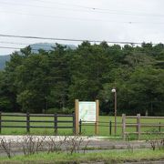 緑が豊かな自然公園