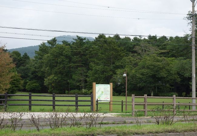 緑が豊かな自然公園